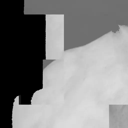 Icon Mono Lab